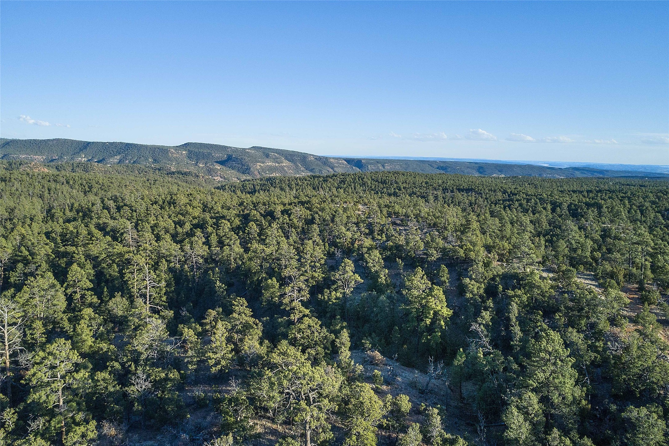 Apache Ridge Rd Lot 4, Santa Fe, New Mexico image 13