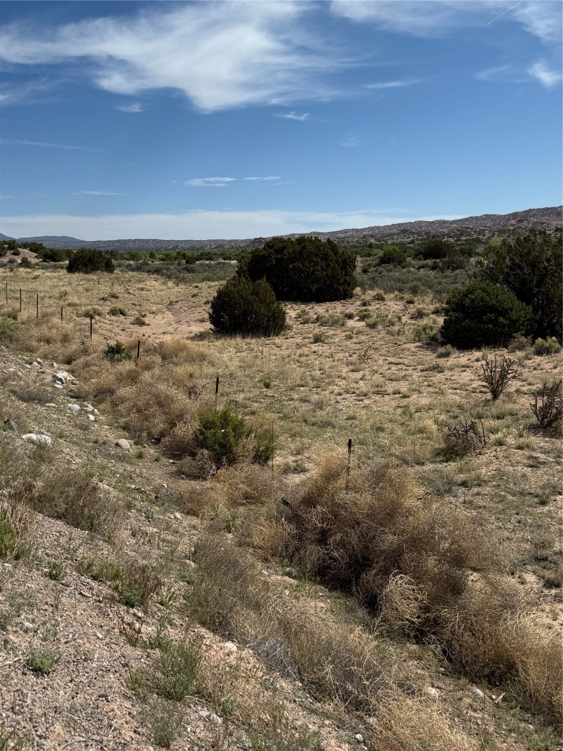 TBD State Road 554, El Rito, New Mexico image 6