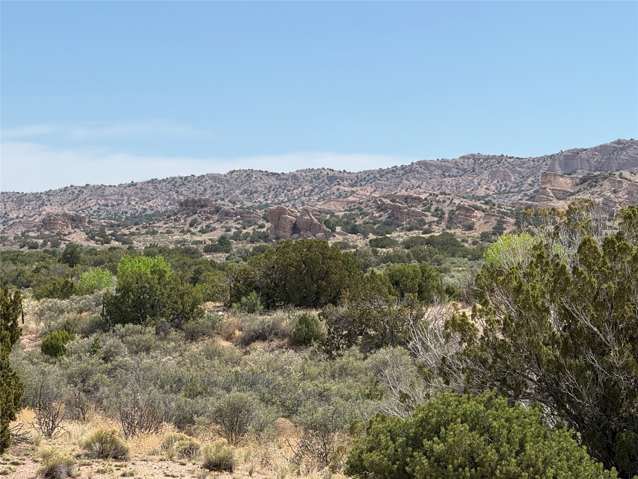 TBD State Road 554, El Rito, New Mexico image 3
