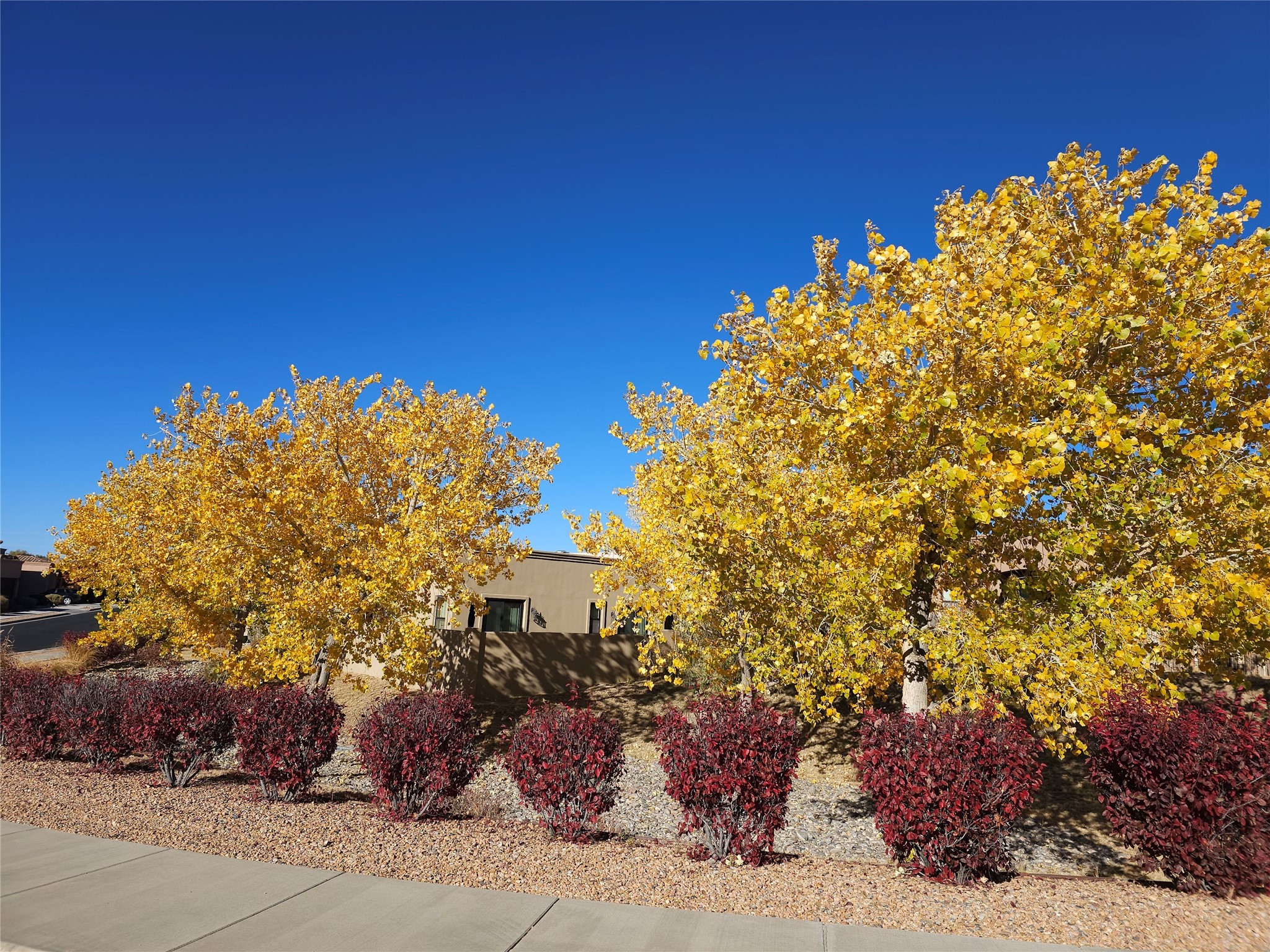 3161 Viale Tresana, Santa Fe, New Mexico image 42