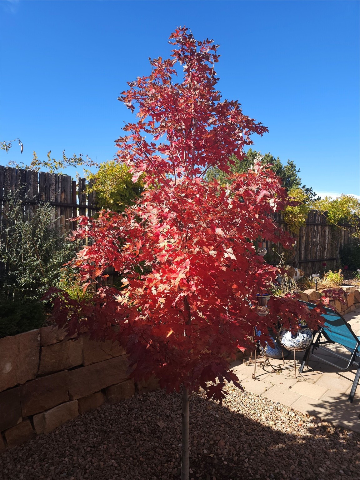 3161 Viale Tresana, Santa Fe, New Mexico image 45