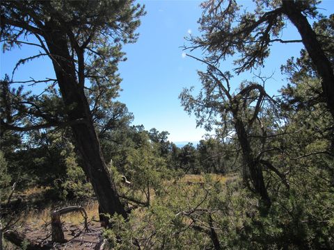Vacant Land For Sale - LOT 57 Servilleta<br/> Tres Piedras, NM 87577