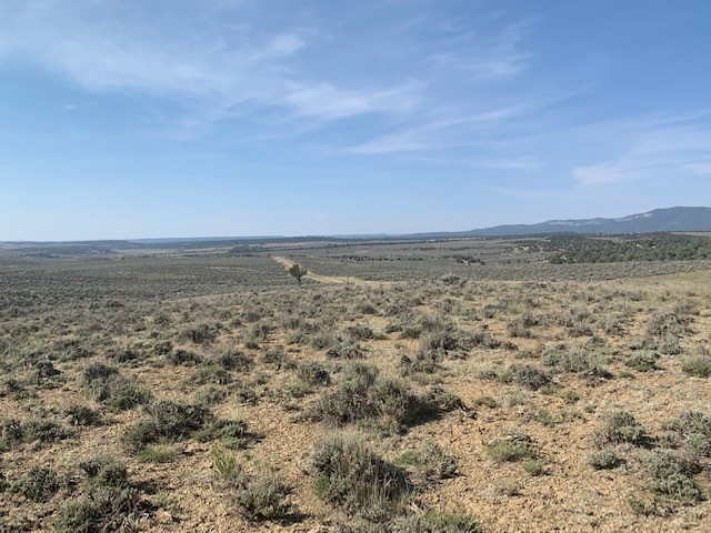 00 Vereda De Venados, Tierra Amarilla, New Mexico image 5