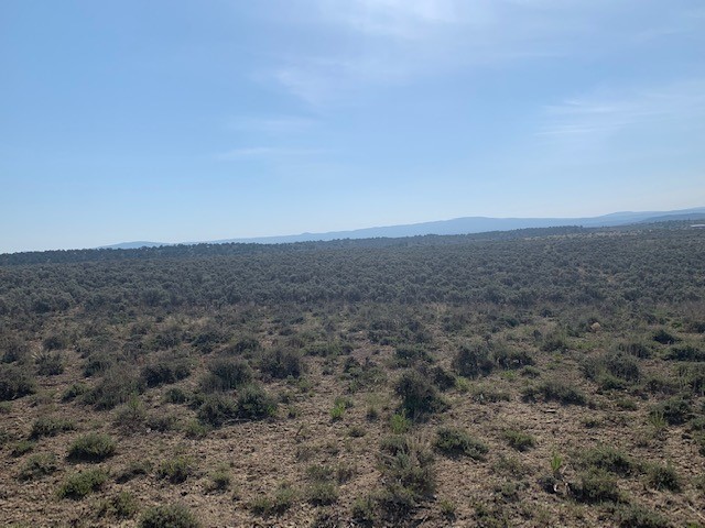 00 Vereda De Venados, Tierra Amarilla, New Mexico image 3