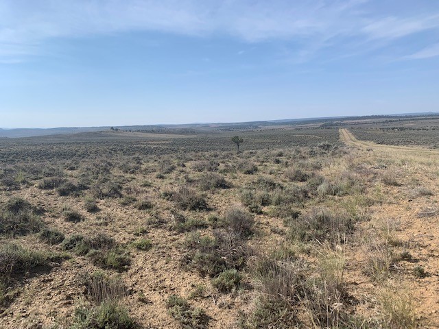 00 Vereda De Venados, Tierra Amarilla, New Mexico image 2