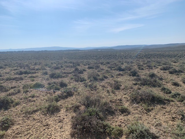 00 Vereda De Venados, Tierra Amarilla, New Mexico image 1