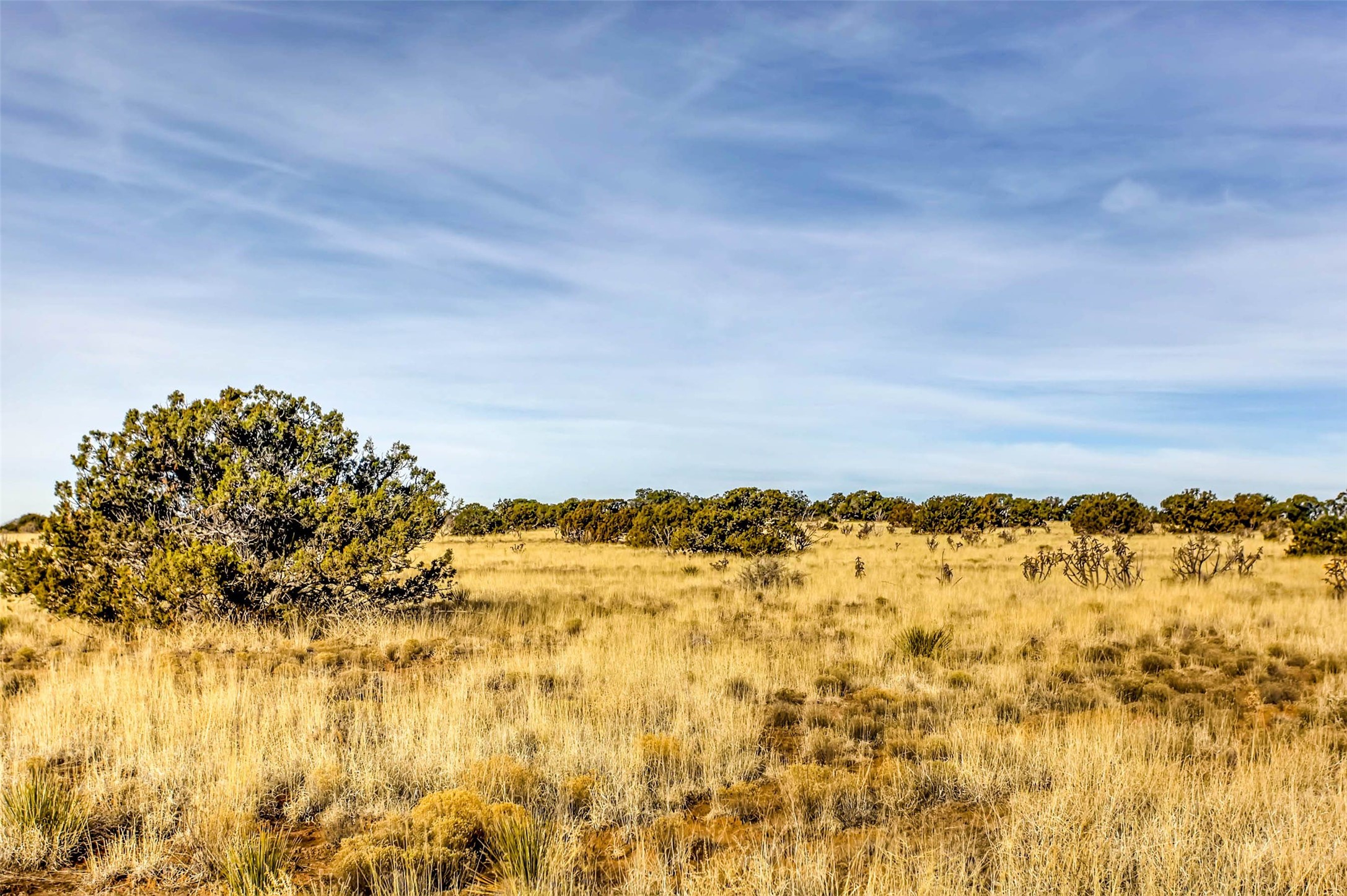 Tren Via, Santa Fe, New Mexico image 11