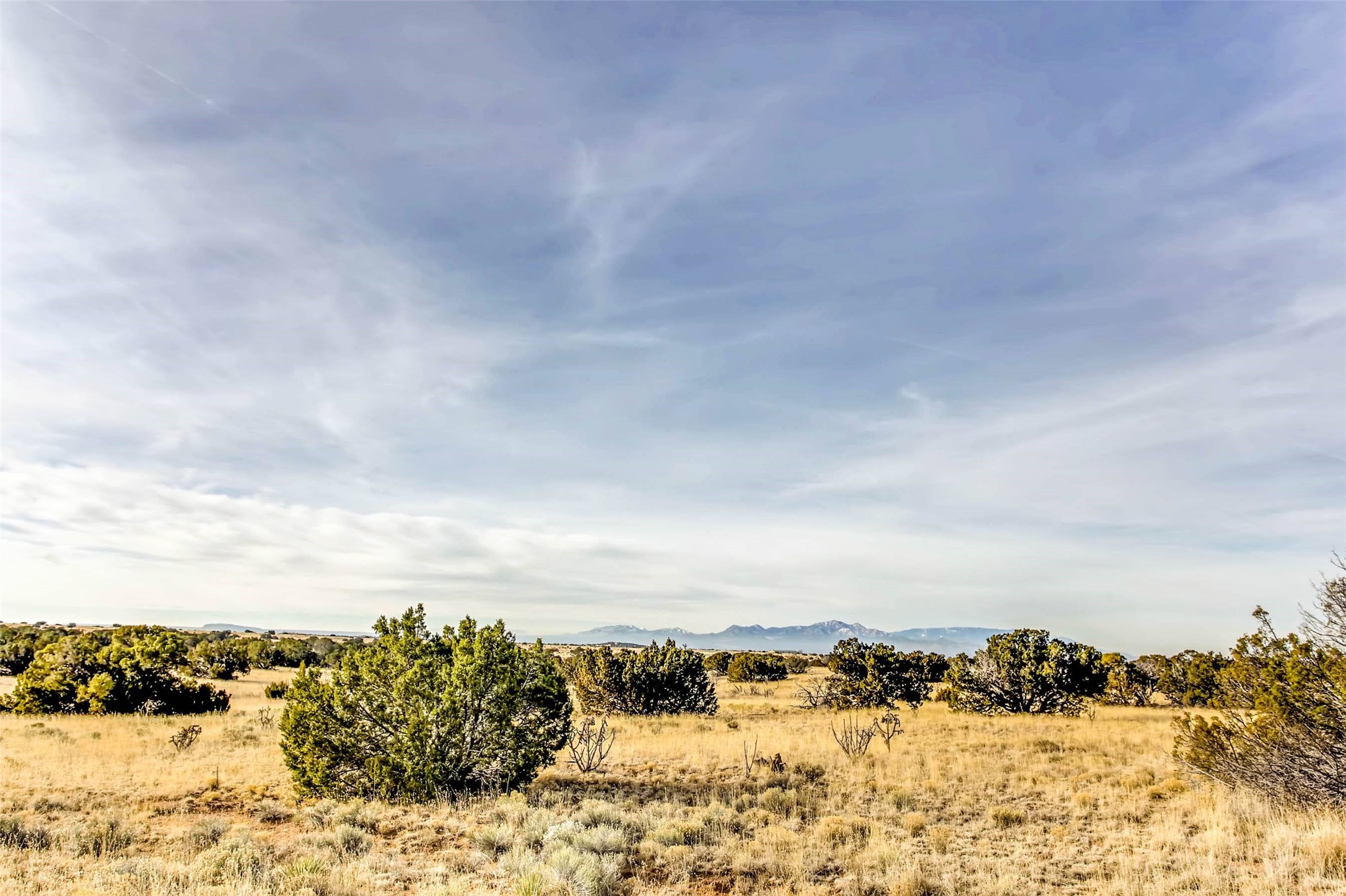 Tren Via, Santa Fe, New Mexico image 9