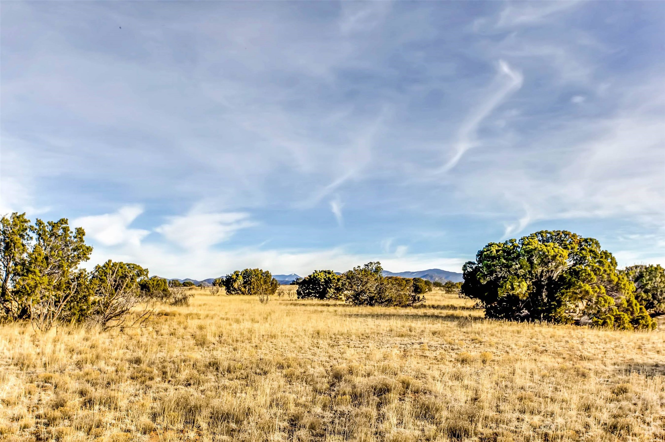 Tren Via, Santa Fe, New Mexico image 12