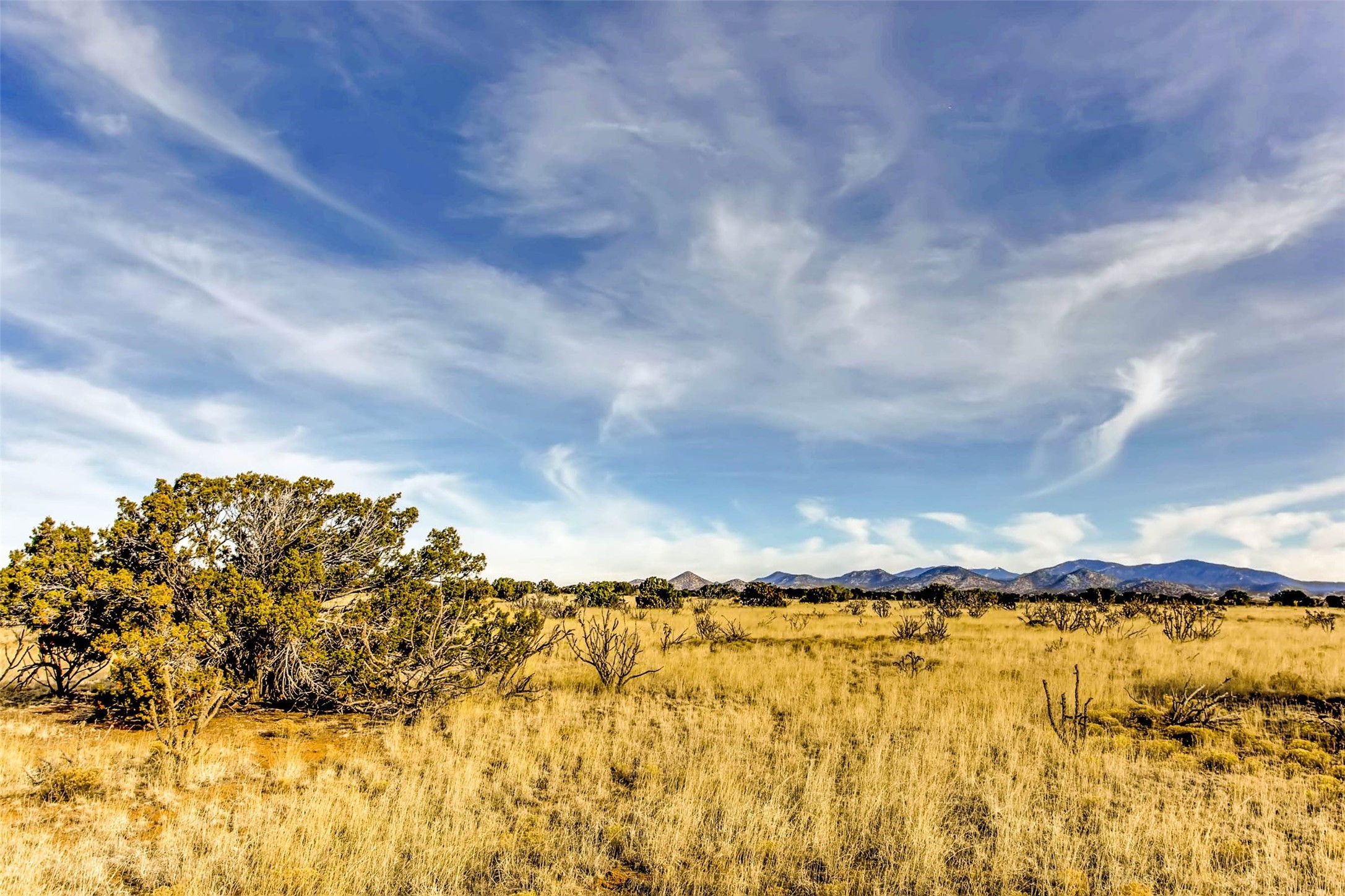 Tren Via, Santa Fe, New Mexico image 18