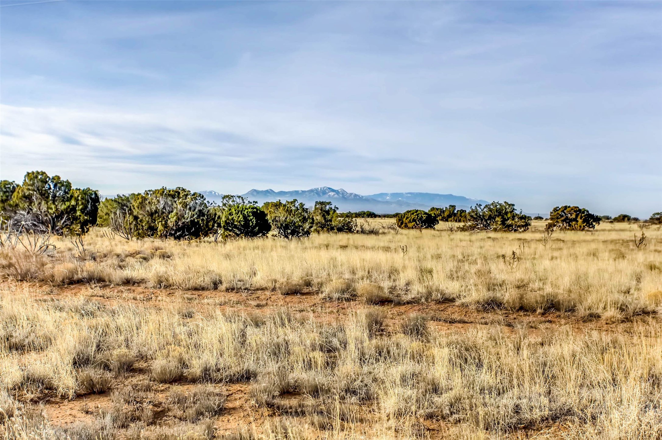 Tren Via, Santa Fe, New Mexico image 2