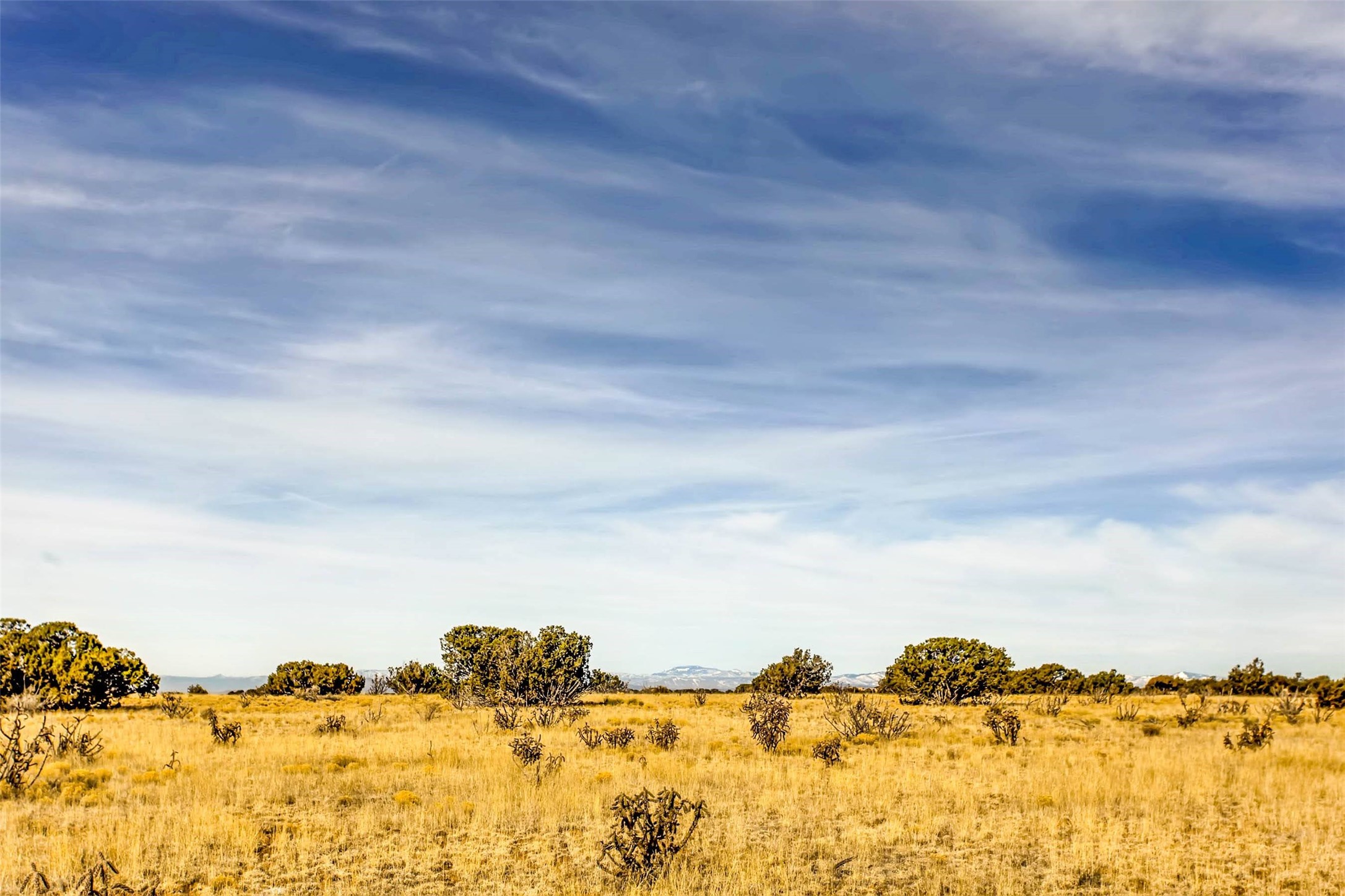 Tren Via, Santa Fe, New Mexico image 28