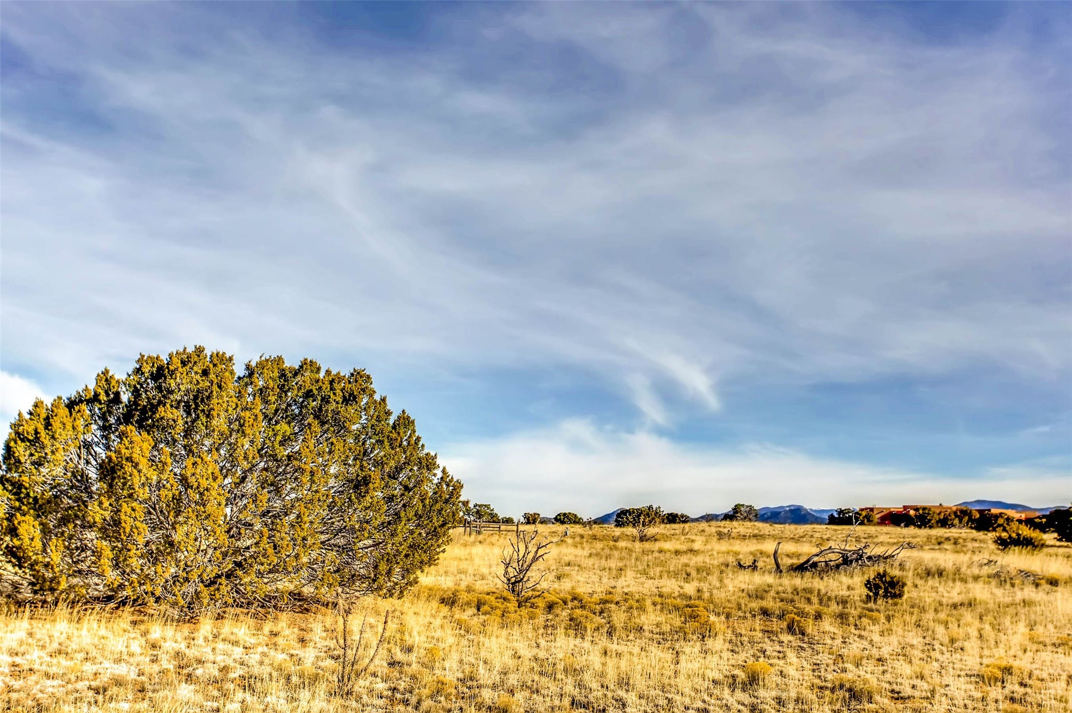 Tren Via, Santa Fe, New Mexico image 13