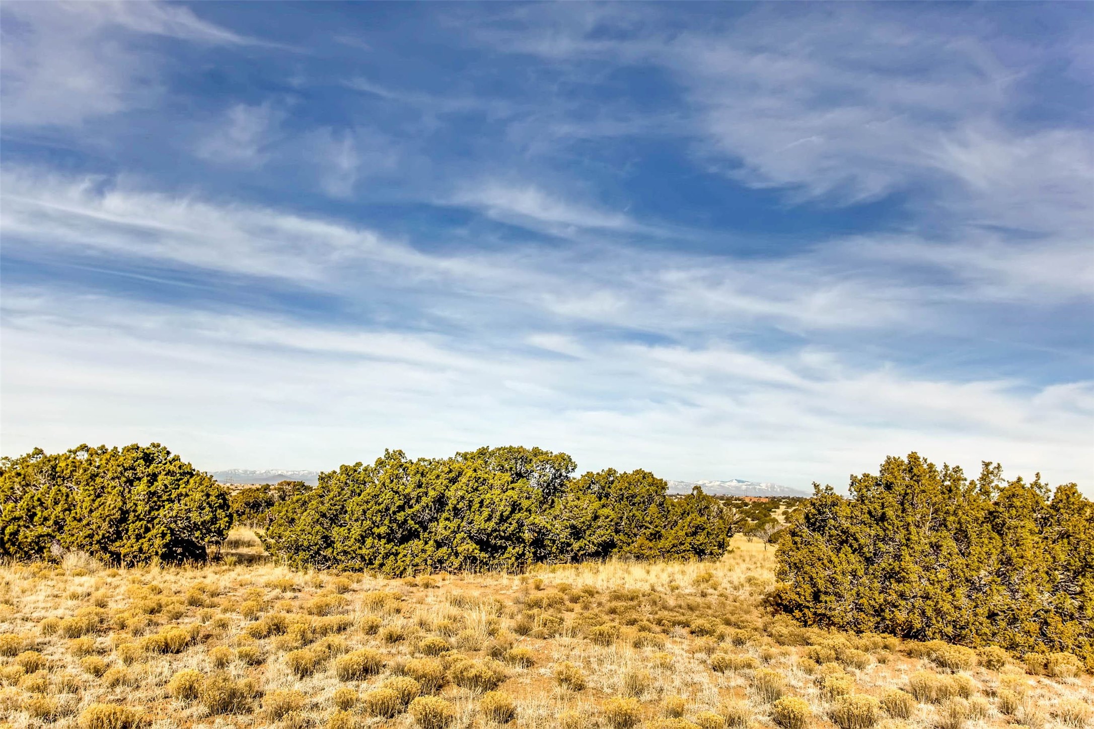 Tren Via, Santa Fe, New Mexico image 19