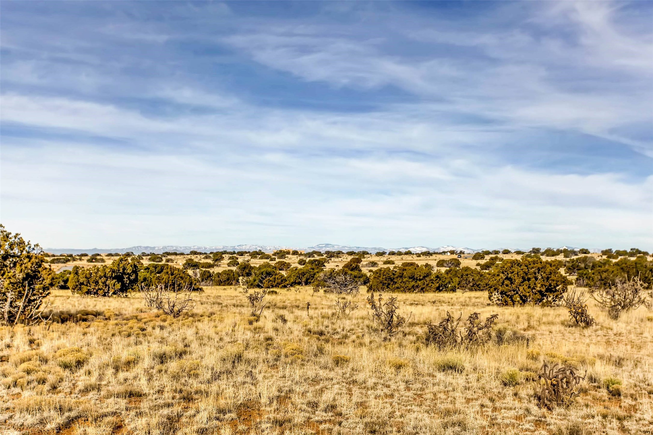 Tren Via, Santa Fe, New Mexico image 15