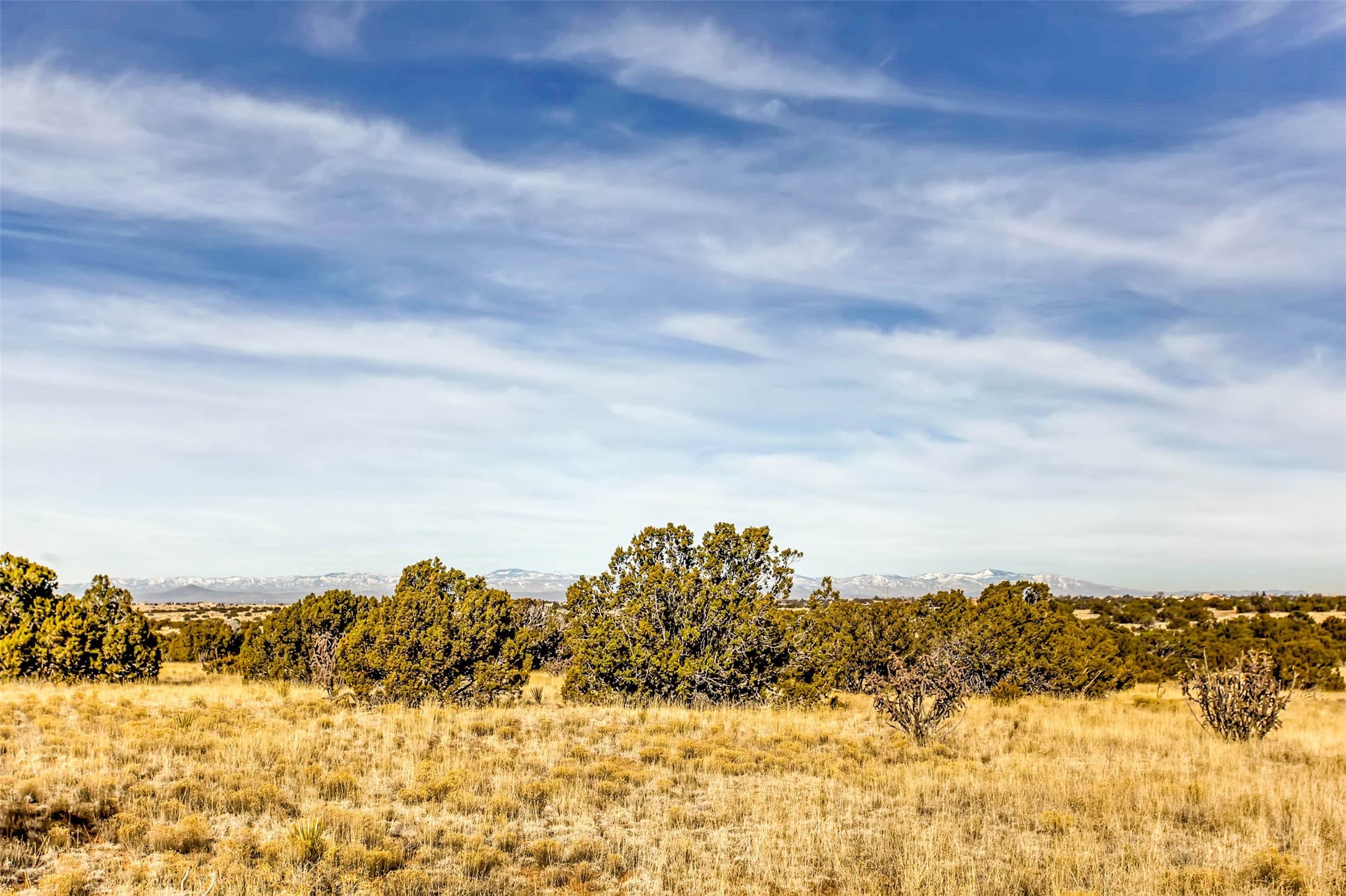 Tren Via, Santa Fe, New Mexico image 23