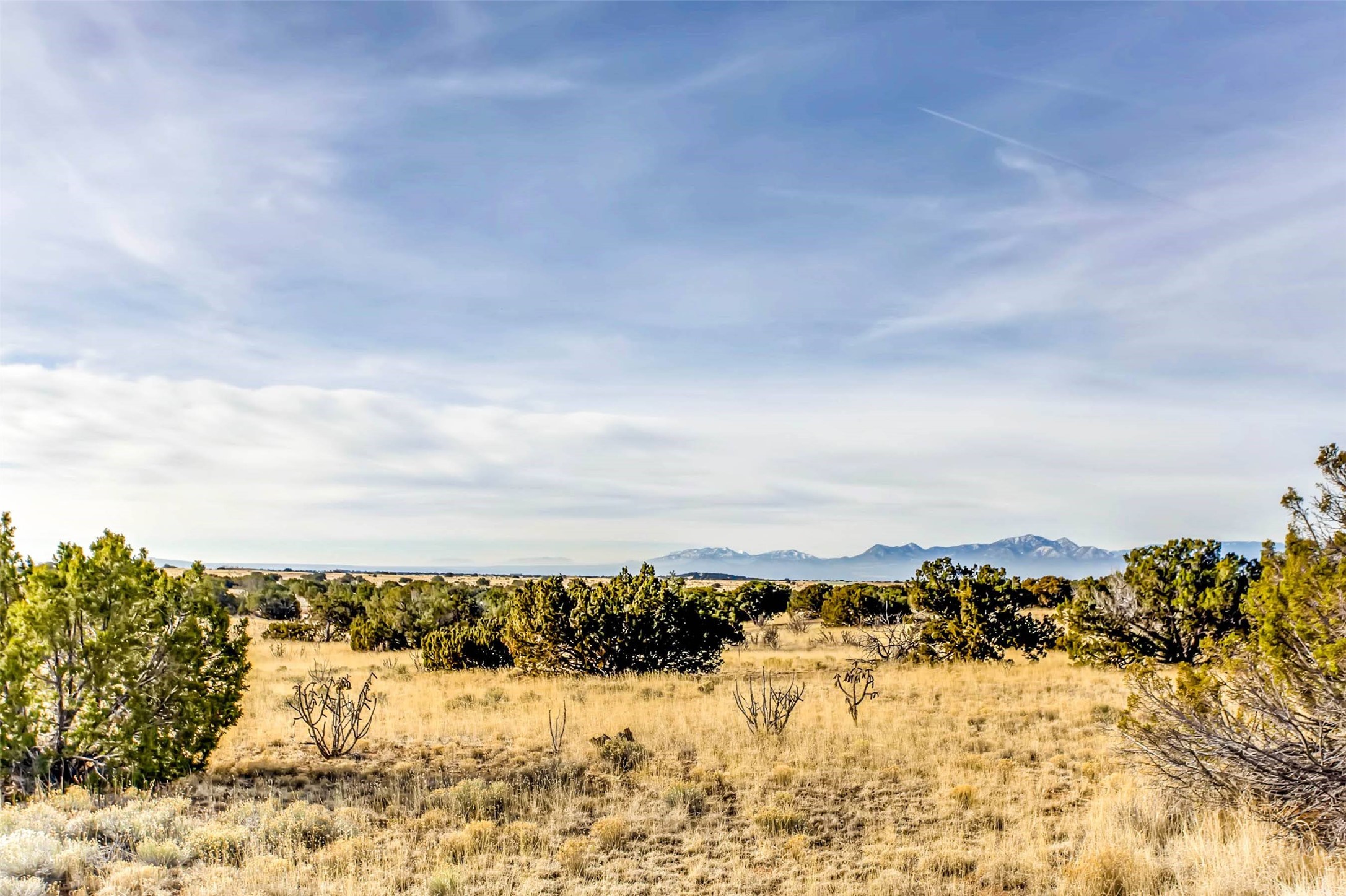 Tren Via, Santa Fe, New Mexico image 8