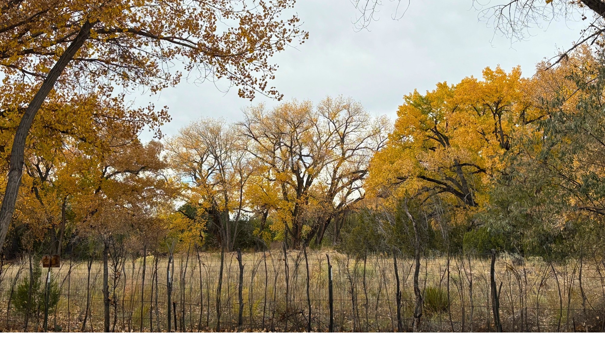 Abiquiu, New Mexico 87510, United States, 4 Bedrooms Bedrooms, ,2 BathroomsBathrooms,Residential,Active,241262