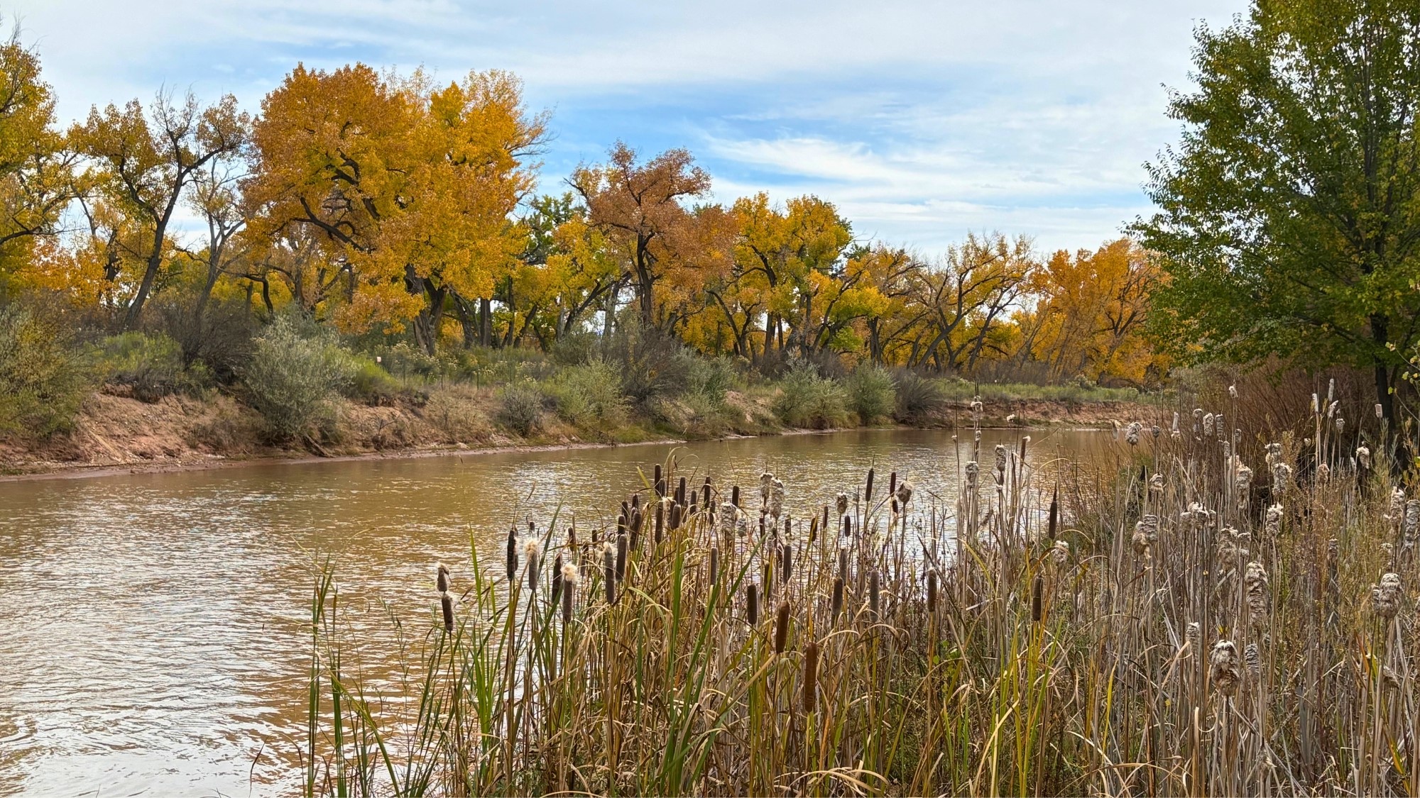 Abiquiu, New Mexico 87510, United States, 4 Bedrooms Bedrooms, ,2 BathroomsBathrooms,Residential,Active,241262