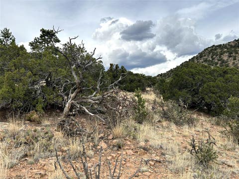 Tiny photo for 16 Embudo Del Sol, Santa Fe, NM 87508 (MLS # 202602325)