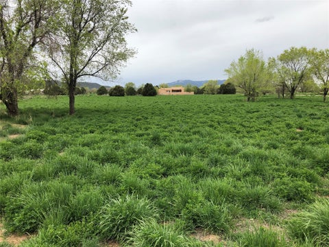 Vacant Land For Sale - 690 Apple Court<br/> Taos, NM 87571