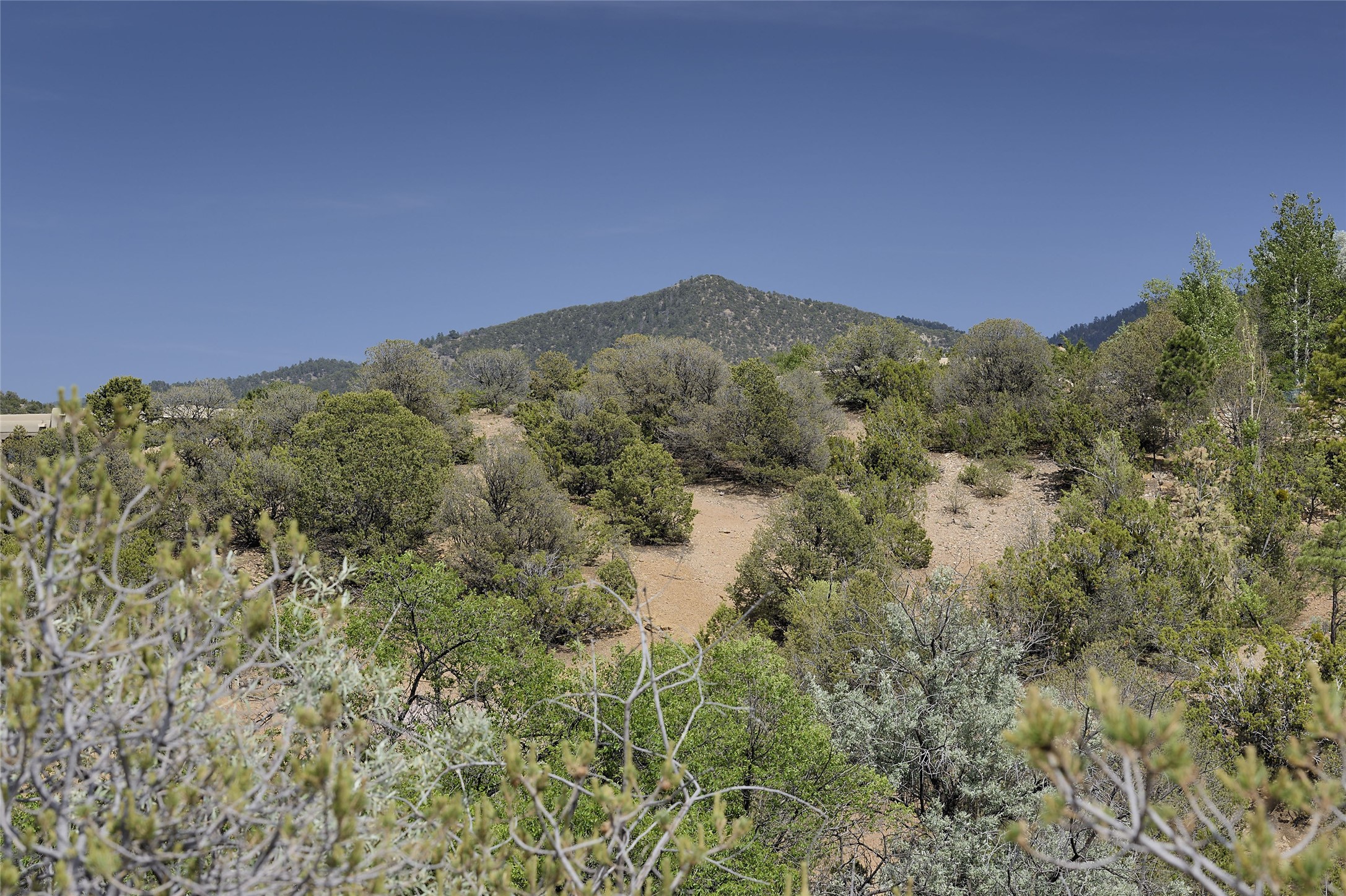 812 La Vereda Este, Lot 88, Santa Fe, New Mexico image 4
