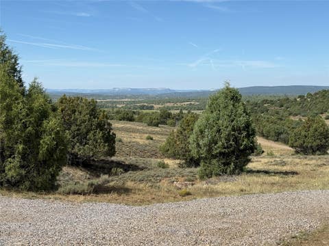 Vacant Land For Sale - 196 Cr 341<br/> Chama, NM 87520
