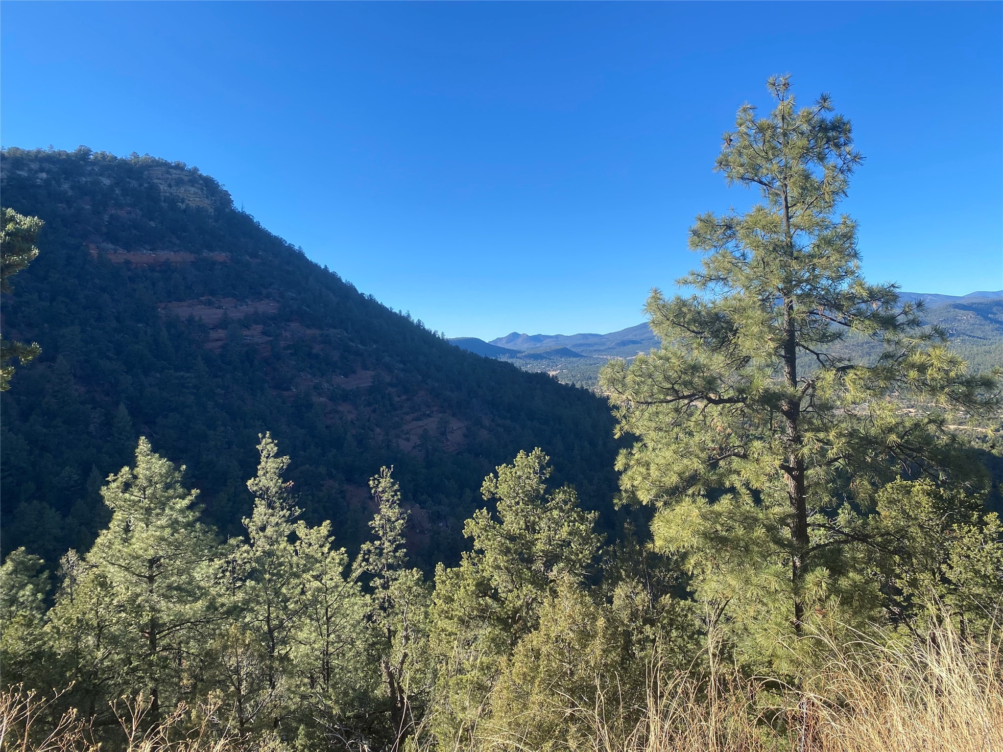 166 Glory Ln, Glorieta, New Mexico image 4