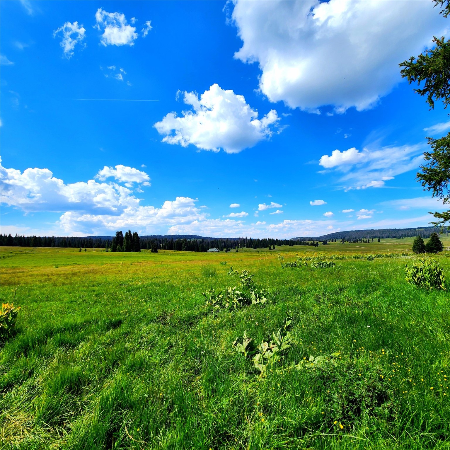 22 Brazos Meadows Road, Tierra Amarilla, New Mexico image 29