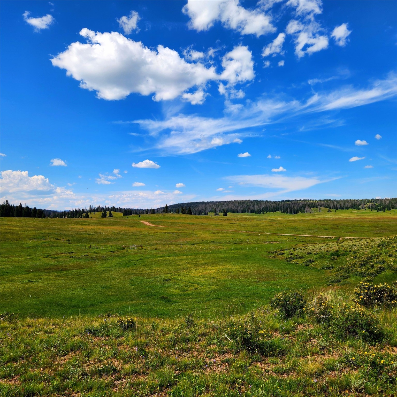 22 Brazos Meadows Road, Tierra Amarilla, New Mexico image 27