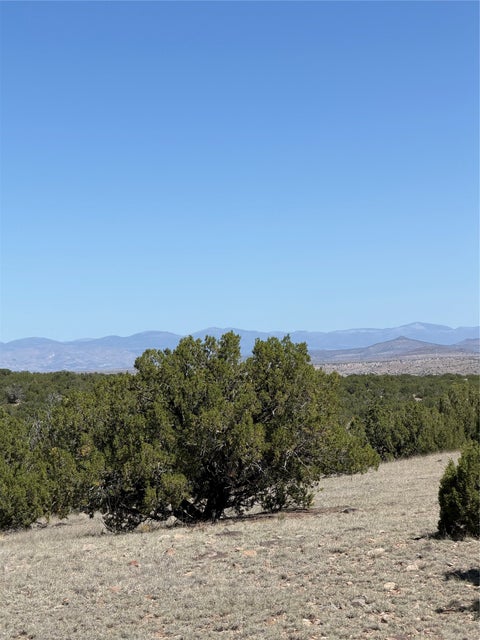 Tiny photo for 7 Rancho De Shama #A and B, Cerrillos, NM 87010 (MLS # 202603088)