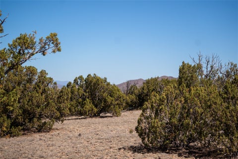 Tiny photo for 7 Rancho De Shama #A and B, Cerrillos, NM 87010 (MLS # 202603088)