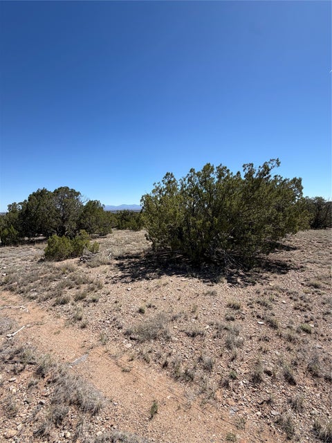 Tiny photo for 7 Rancho De Shama #A and B, Cerrillos, NM 87010 (MLS # 202603088)