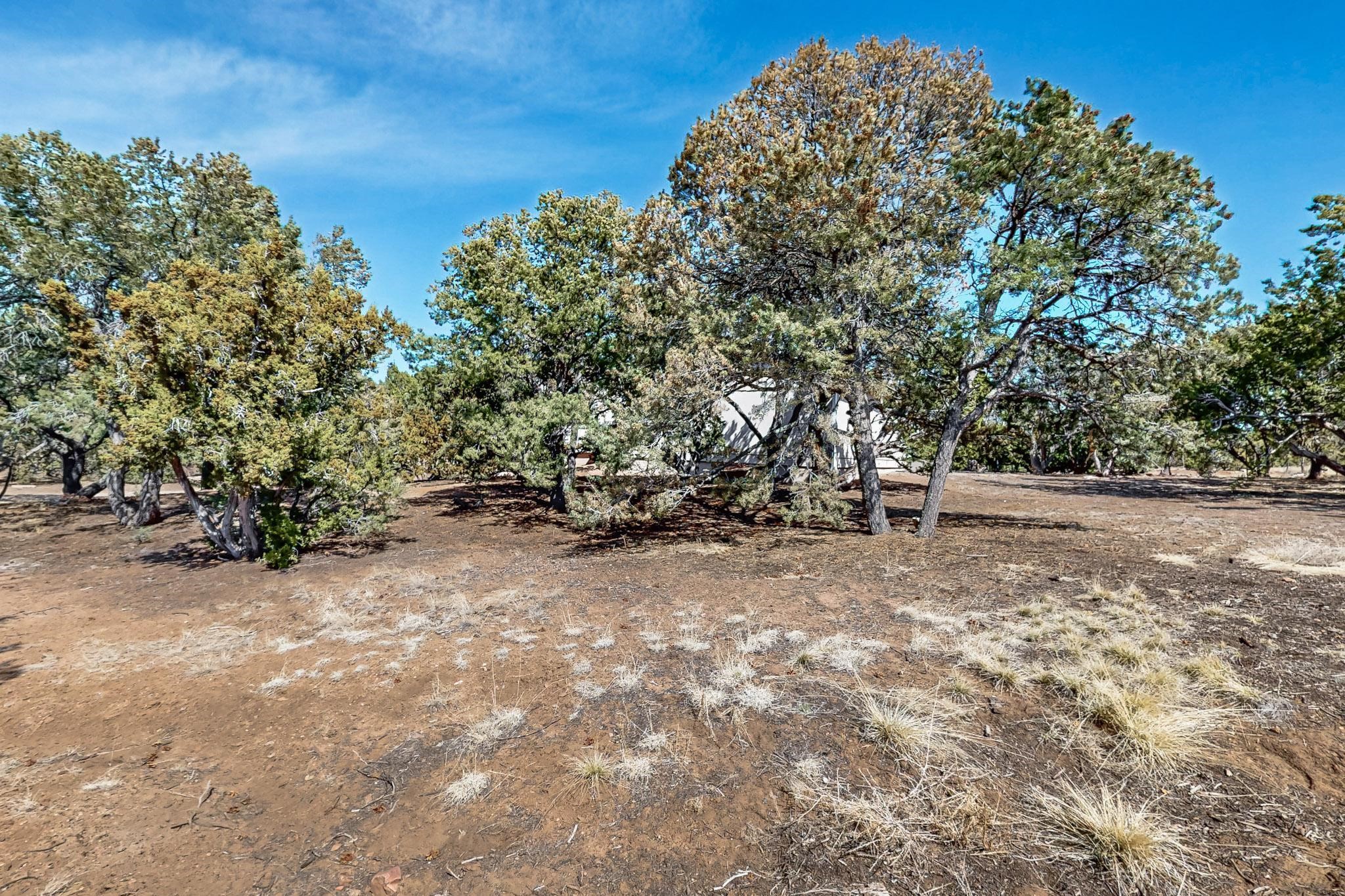 17A Old Agua Fria Road, Santa Fe, New Mexico image 32