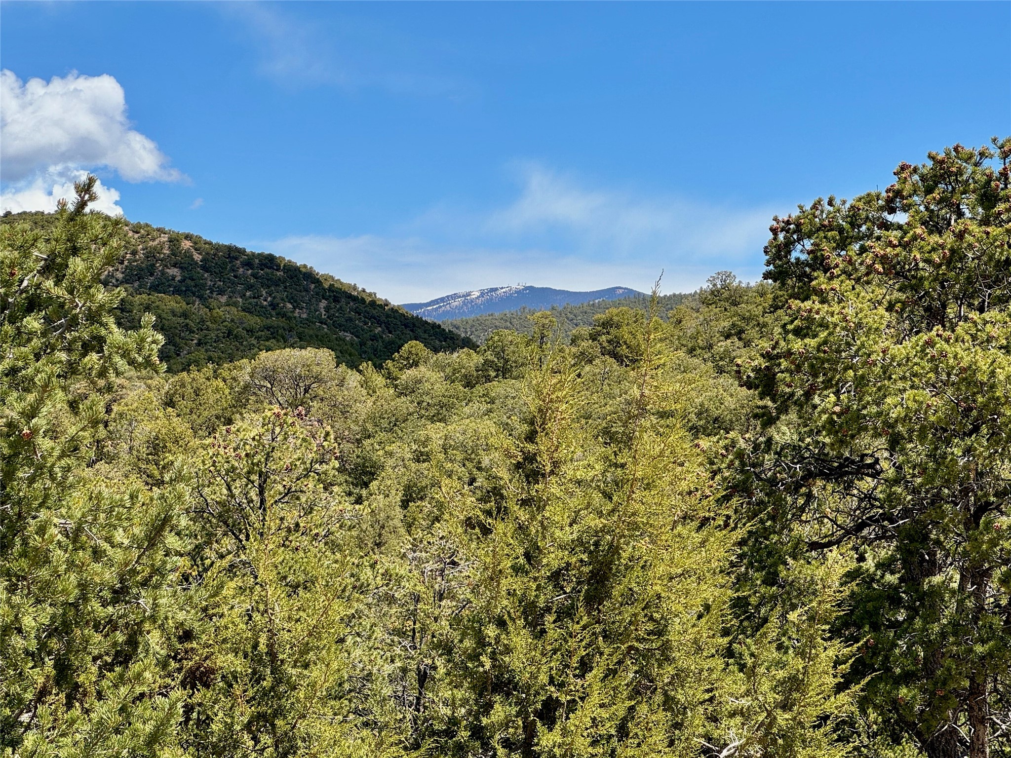 2615 Summit Court, Santa Fe, New Mexico image 32