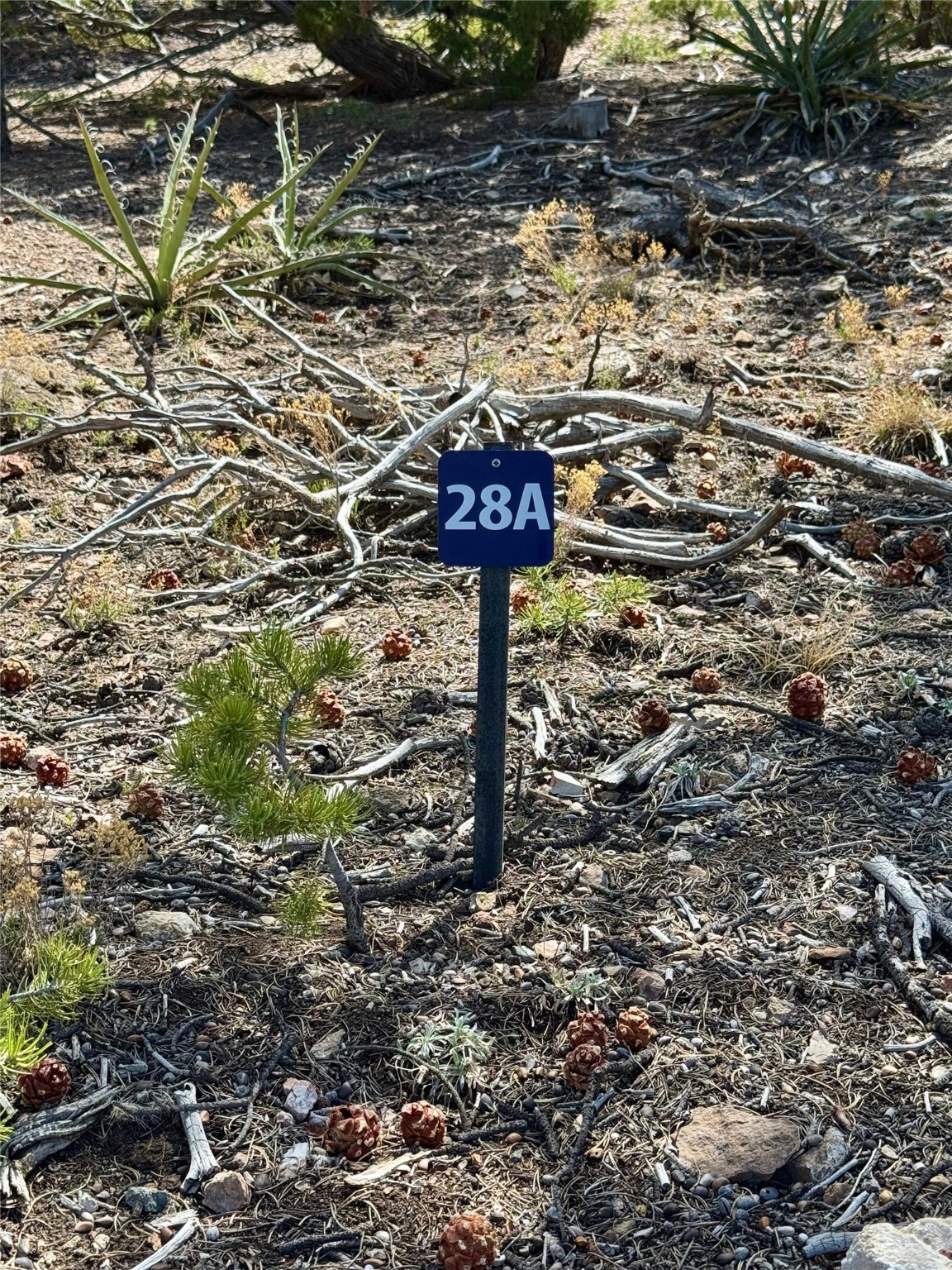 2615 Summit Court, Santa Fe, New Mexico image 23