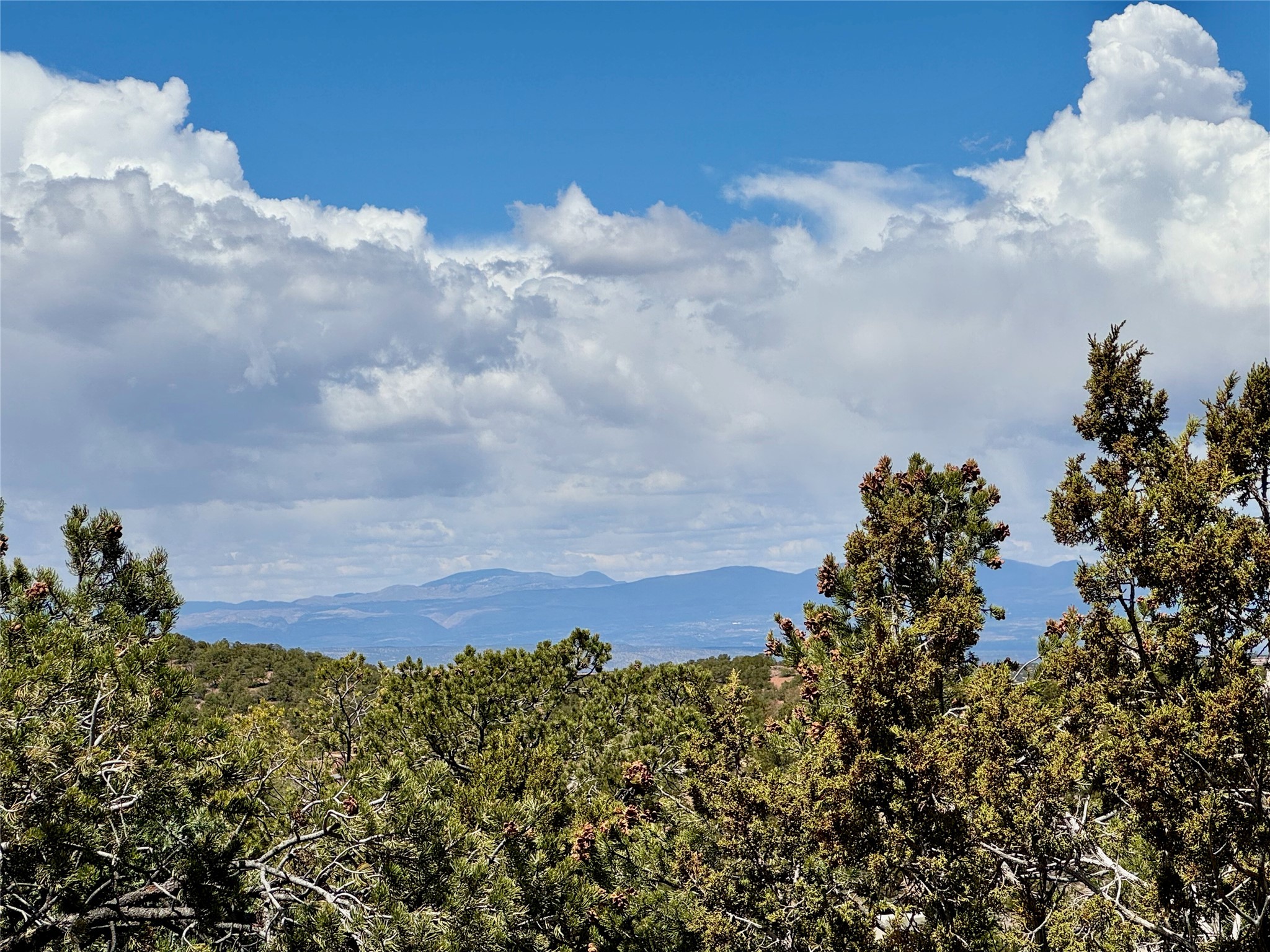 2615 Summit Court, Santa Fe, New Mexico image 33