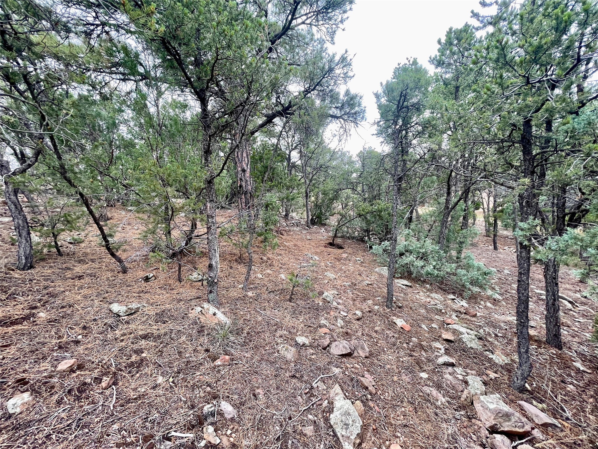 2615 Summit Court, Santa Fe, New Mexico image 10