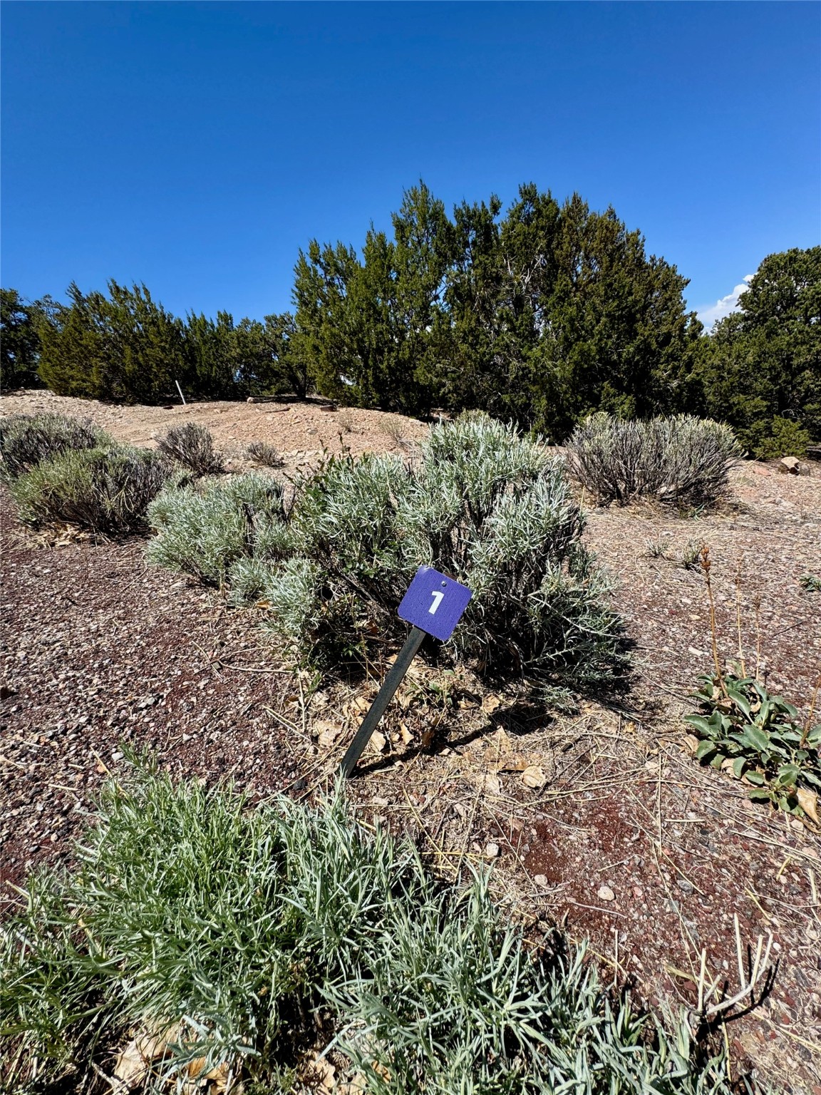 2615 Summit Court, Santa Fe, New Mexico image 27