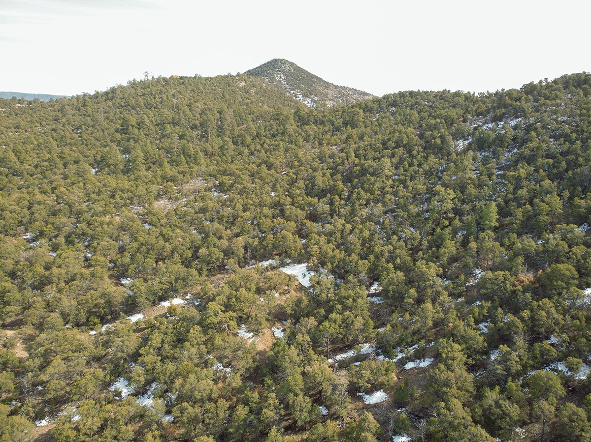28 And 29 Sena Lane #LOT 4 AND 5, Santa Fe, New Mexico image 12