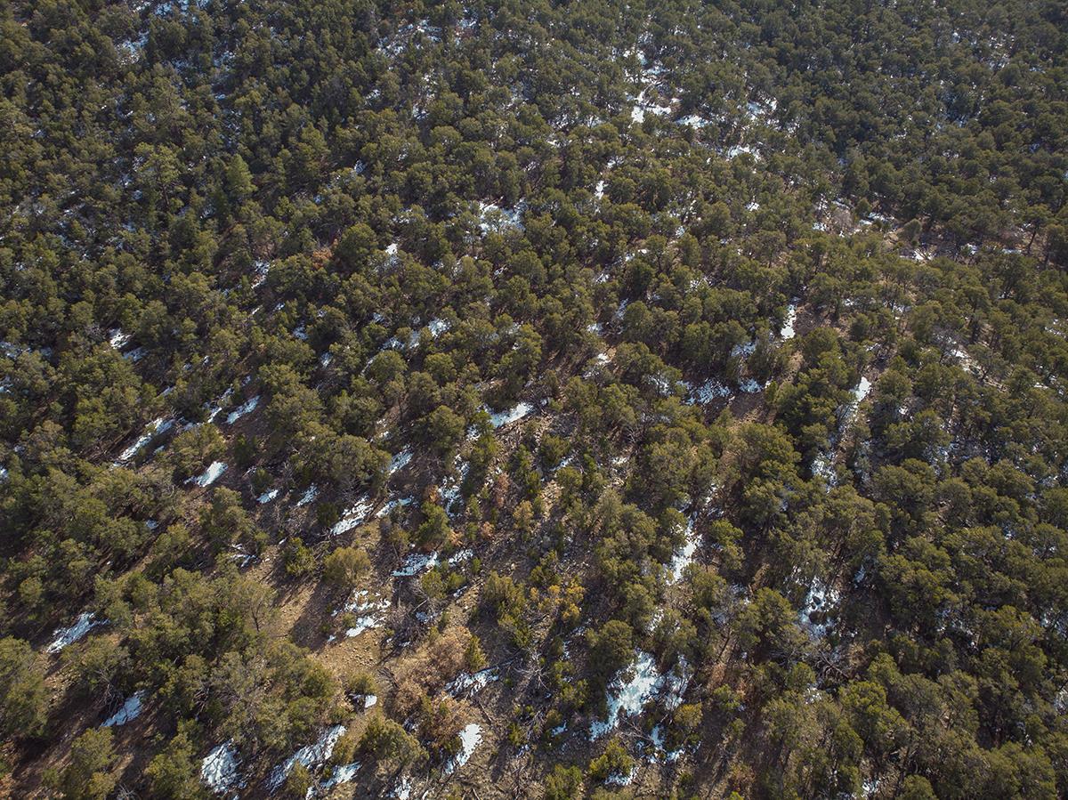 28 And 29 Sena Lane #LOT 4 AND 5, Santa Fe, New Mexico image 6