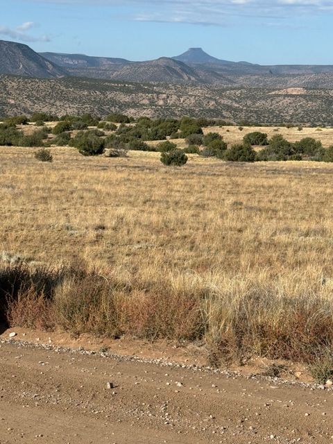 Vacant Land For Sale - TBD LOT 28 Lakewood Drive<br/> Medanales, NM 87548