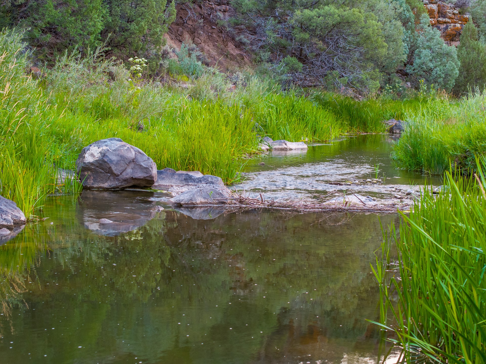 Ranchos De Taos, New Mexico 87557, United States, 3 Bedrooms Bedrooms, ,4 BathroomsBathrooms,Residential,Active,193668