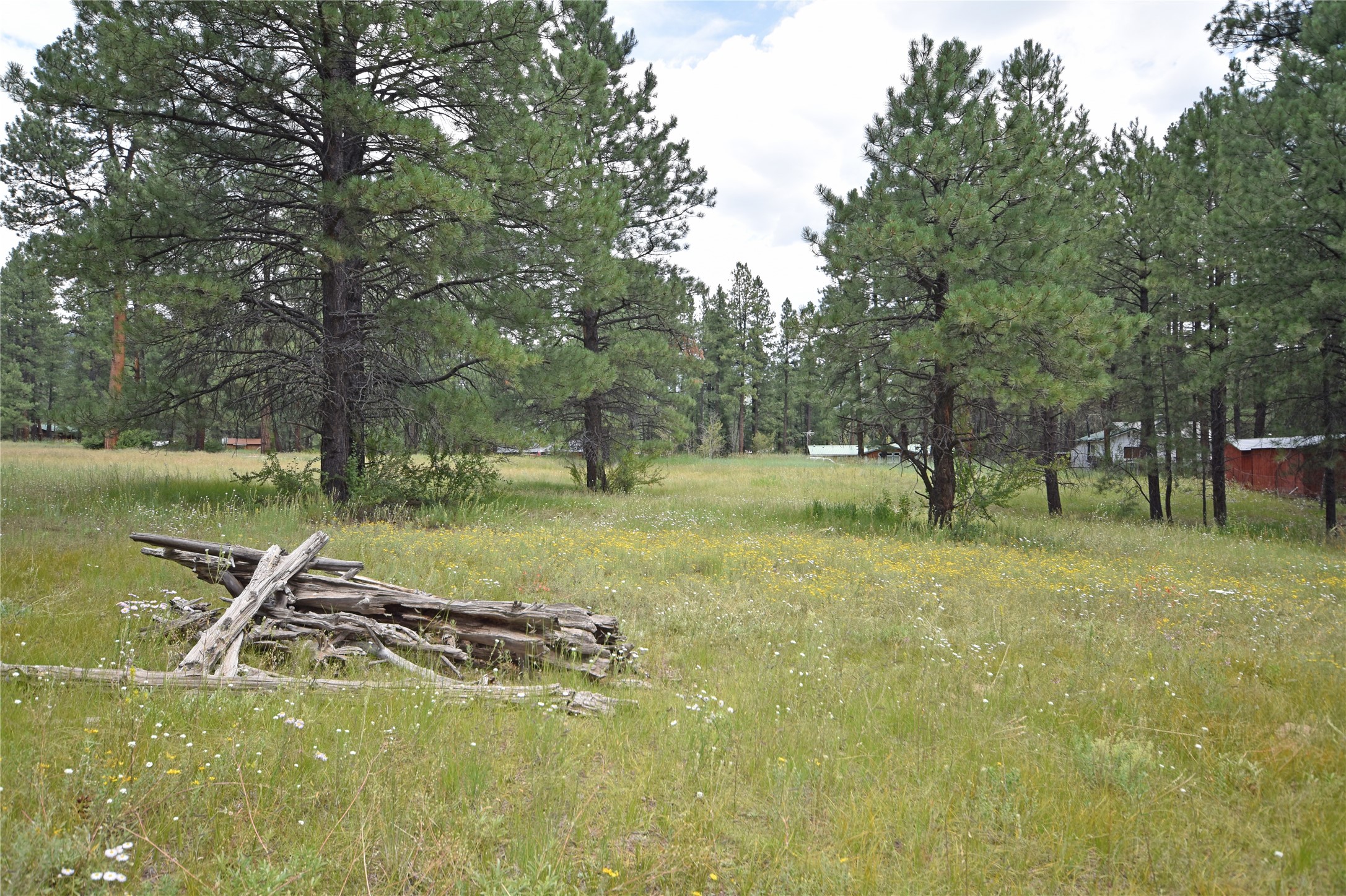 Lot 7 Hidden Valley Road, Jemez Springs, New Mexico image 11