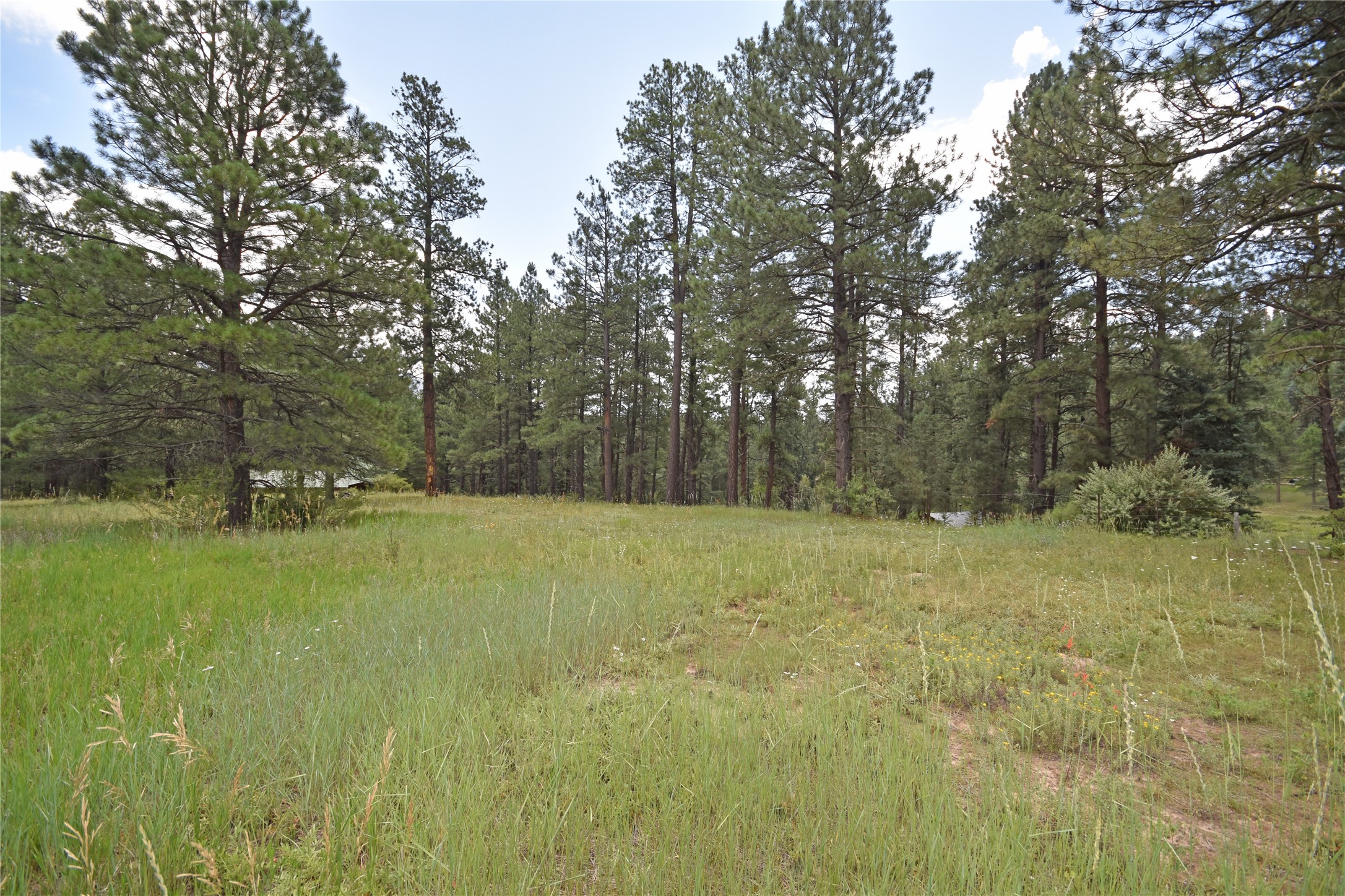 Lot 7 Hidden Valley Road, Jemez Springs, New Mexico image 3