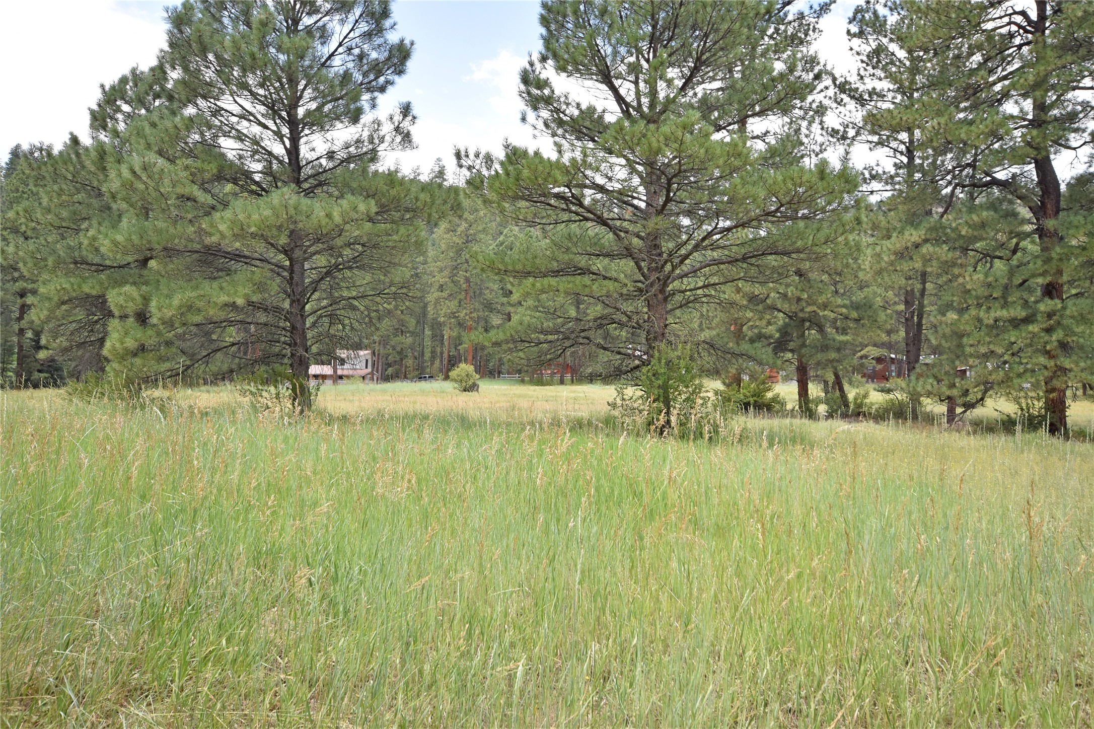 Lot 7 Hidden Valley Road, Jemez Springs, New Mexico image 1