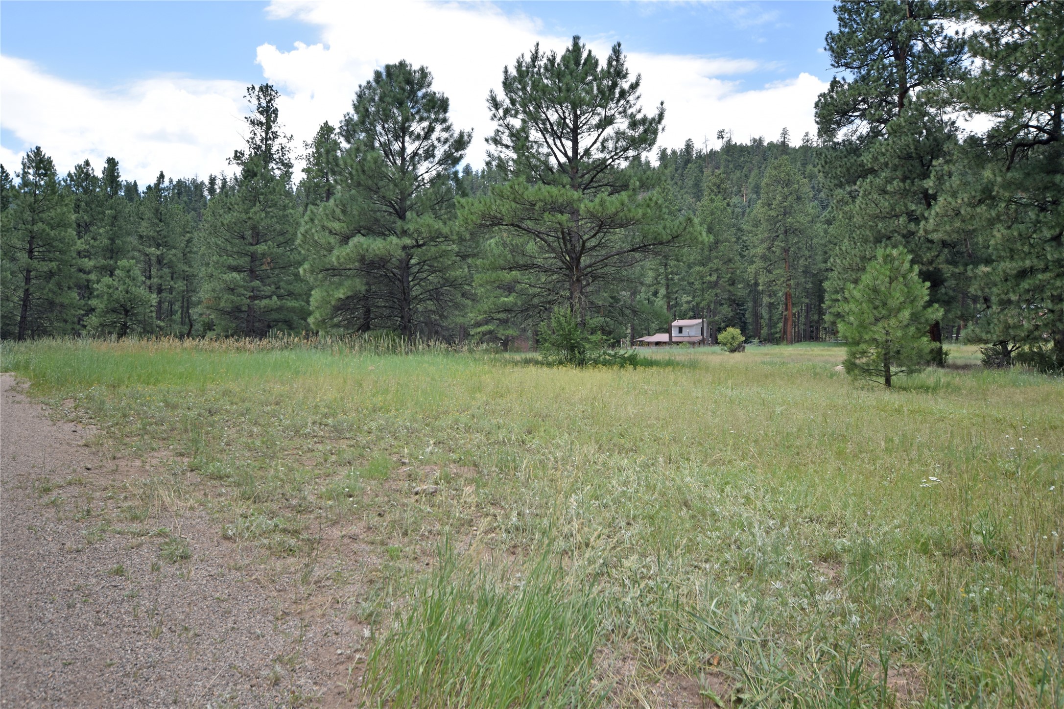 Lot 7 Hidden Valley Road, Jemez Springs, New Mexico image 5