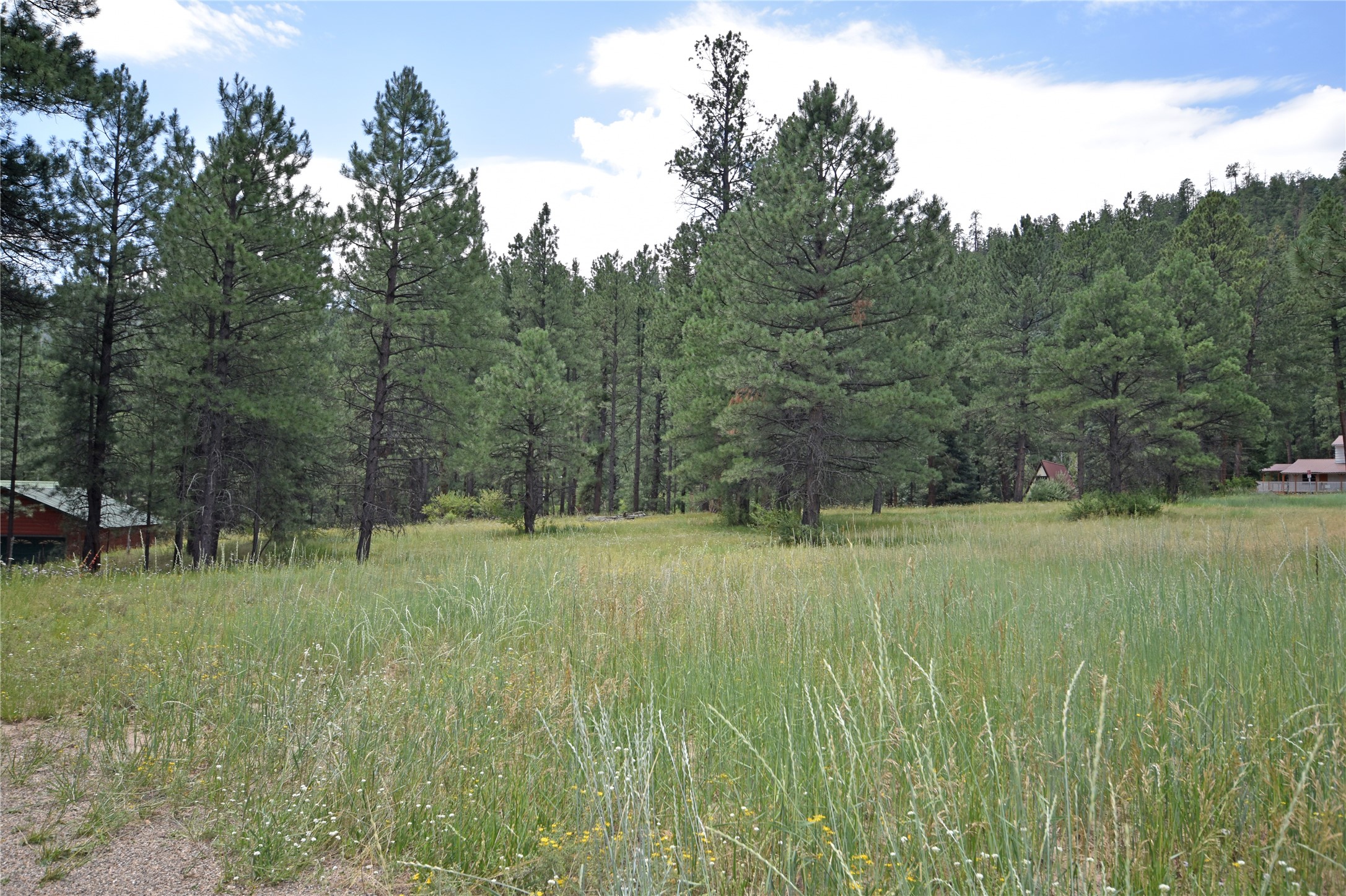 Lot 7 Hidden Valley Road, Jemez Springs, New Mexico image 7