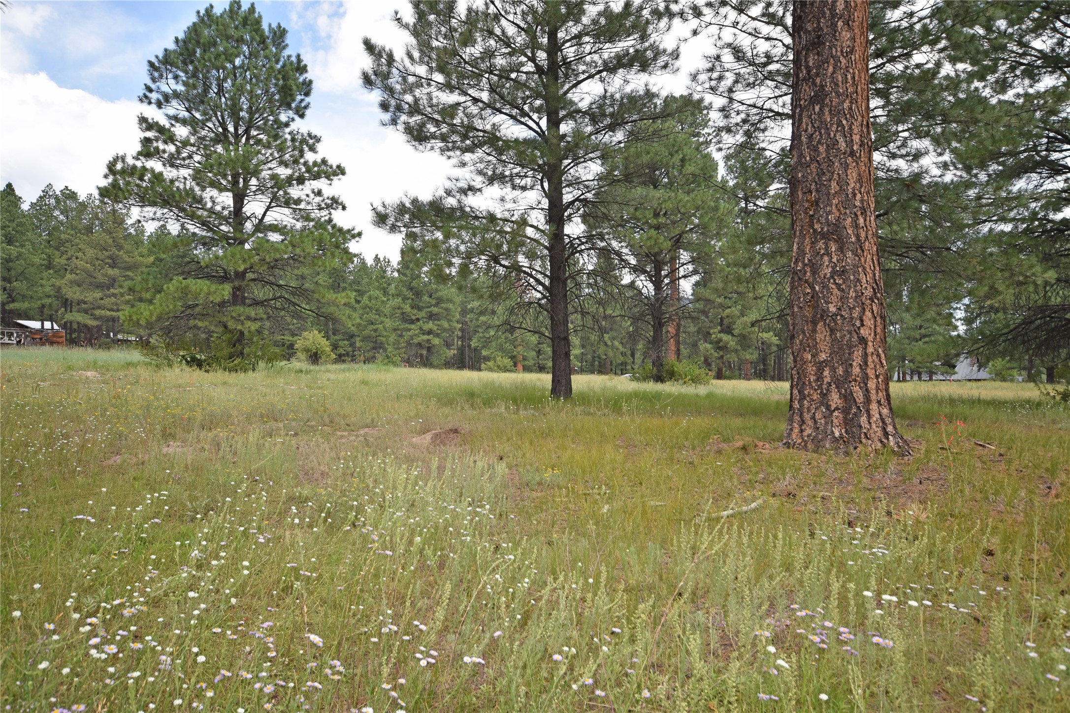 Lot 7 Hidden Valley Road, Jemez Springs, New Mexico image 6