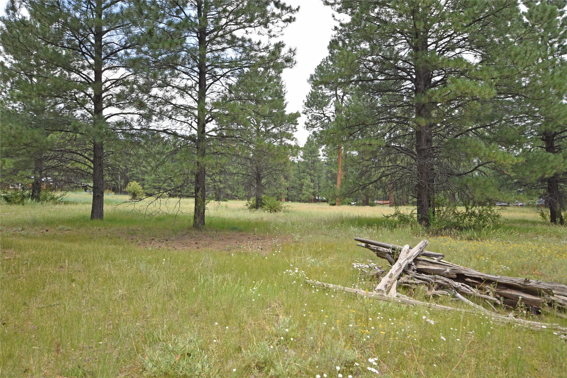 Lot 7 Hidden Valley Road, Jemez Springs, New Mexico image 10